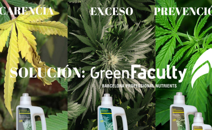 nitrogeno en exceso afecta a las plantas